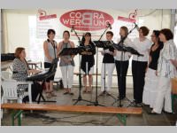 ASV Neufeld feiert 90 Jahre, 14. - 16.06.2013