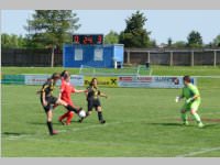 ASV Neufeld feiert 90 Jahre, 14. - 16.06.2013