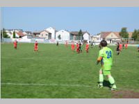 ASV Neufeld feiert 90 Jahre, 14. - 16.06.2013