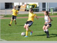 ASV Neufeld feiert 90 Jahre, 14. - 16.06.2013