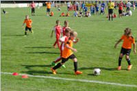 ASV Neufeld: 1. Geza Gallos Gedenkturnier, 22. + 23.08.2015