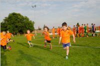 ASV Sportfest, 29. - 31.05.2015