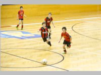 ASV Neufeld Winter Ending Tournament, 21. - 22.02.2015