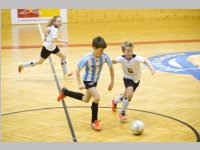 ASV Neufeld Winter Ending Tournament, 21. - 22.02.2015