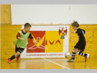 ASV Neufeld Winter Ending Tournament, 21. - 22.02.2015