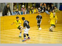 ASV Neufeld Winter Ending Tournament, 21. - 22.02.2015