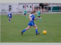 ASV Damen vs. Kirchschlag, 23.03.2014