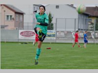 ASV Damen vs. Dreistetten, 30.05.2014