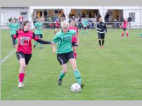 ASV Damen vs. Dreistetten, 30.05.2014
