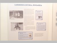 Baousterz & Bubikopf, 23.11.2014