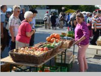 33. Neufelder Bauernmarkt, 15.08.2013