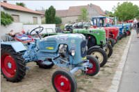 35. Neufelder Bauernmarkt, 15.08.2015