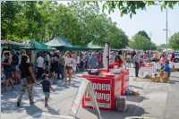 36. Neufelder Bauernmarkt, 15.08.2016