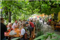 36. Neufelder Bauernmarkt, 15.08.2016