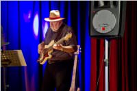 4. Blues Night mit Habersak & Friends, 18.02.2016