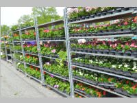 Blumenmarkt von Blumenzeiten, 27.04.2013