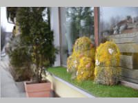 Erffnung Blumenzeiten von Eva Stanek, 01.03.2013