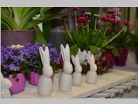 Erffnung Blumenzeiten von Eva Stanek, 01.03.2013