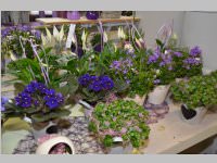 Erffnung Blumenzeiten von Eva Stanek, 01.03.2013