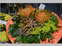 Erffnung Blumenzeiten von Eva Stanek, 01.03.2013
