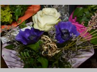 Erffnung Blumenzeiten von Eva Stanek, 01.03.2013