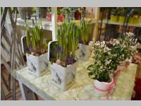 Erffnung Blumenzeiten von Eva Stanek, 01.03.2013