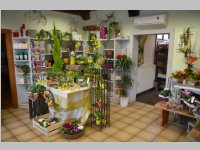 Erffnung Blumenzeiten von Eva Stanek, 01.03.2013