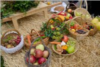 Erntedankfest in Neufeld, 04.10.2015