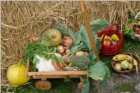 Erntedankfest in Neufeld, 04.10.2015