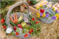 Erntedankfest und Pfarrhoffest in Neufeld, 02.10.2016