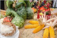 Erntedankfest und Pfarrhoffest in Neufeld, 02.10.2016