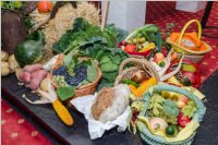 Erntedankfest und Pfarrhoffest in Neufeld, 02.10.2016