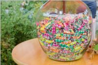 Erntedankfest und Pfarrhoffest in Neufeld, 02.10.2016