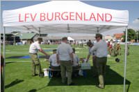 FF Neufeld beim 40. Bgld. Landesfeuerwehrjugendleistungsbewerb, 10.07.2015