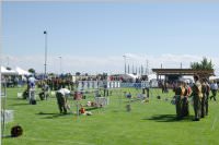 FF Neufeld beim 40. Bgld. Landesfeuerwehrjugendleistungsbewerb, 10.07.2015