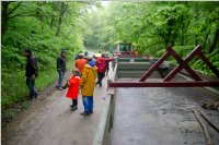 Maibaum der FF Neufeld, 02.05.2015