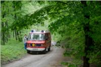 Maibaum der FF Neufeld, 02.05.2015