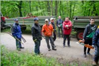Maibaum der FF Neufeld, 02.05.2015
