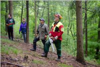 Maibaum der FF Neufeld, 02.05.2015