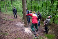 Maibaum der FF Neufeld, 02.05.2015