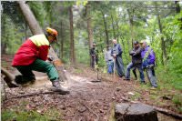 Maibaum der FF Neufeld, 02.05.2015