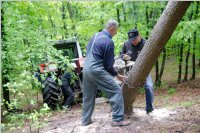 Maibaum der FF Neufeld, 02.05.2015