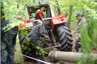 Maibaum der FF Neufeld, 02.05.2015