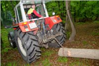 Maibaum der FF Neufeld, 02.05.2015