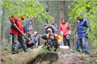 Maibaum der FF Neufeld, 02.05.2015