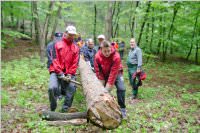 Maibaum der FF Neufeld, 02.05.2015