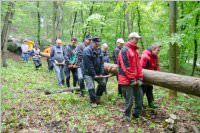 Maibaum der FF Neufeld, 02.05.2015