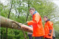 Maibaum der FF Neufeld, 02.05.2015