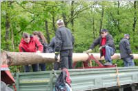 Maibaum der FF Neufeld, 02.05.2015