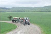 Maibaum der FF Neufeld, 02.05.2015